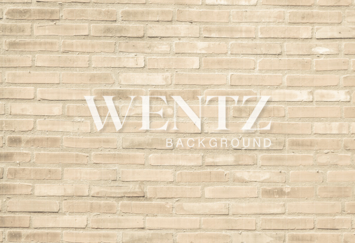 Fabric Photography Background Bricks Beige / Backdrop 1485