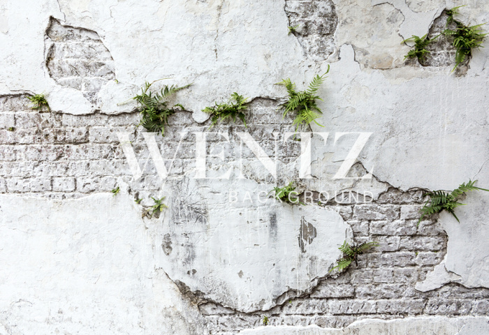 Fabric Photography Background Concrete and Brick Wall  / Backdrop 1927