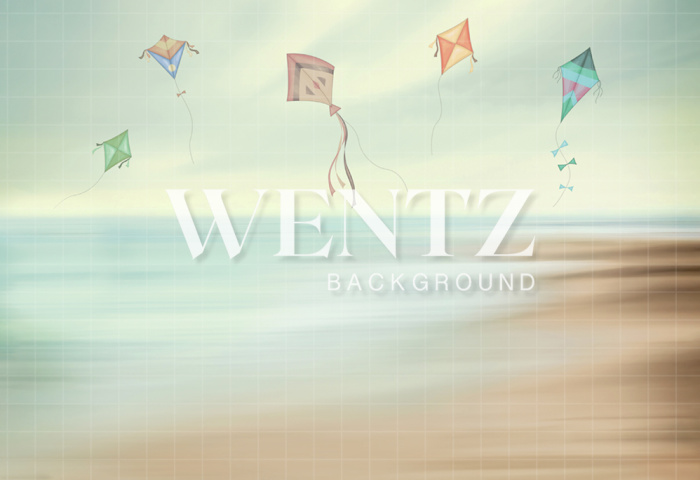 Fabric Photography Background Beach and Kites Newborn / Backdrop 2012