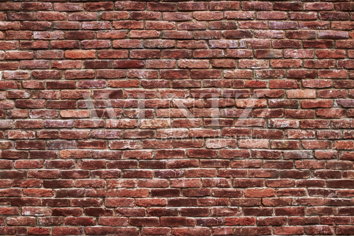 Fabric Photography Background Bricks / Backdrop 2118