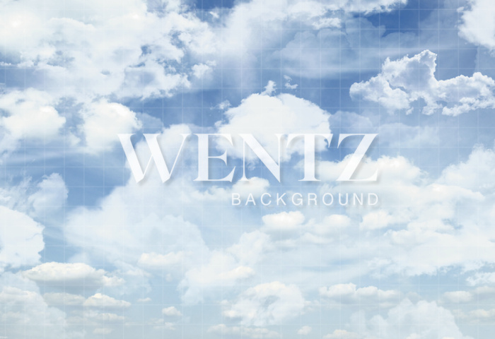 Fabric Photography Background Sky / Backdrop 2121