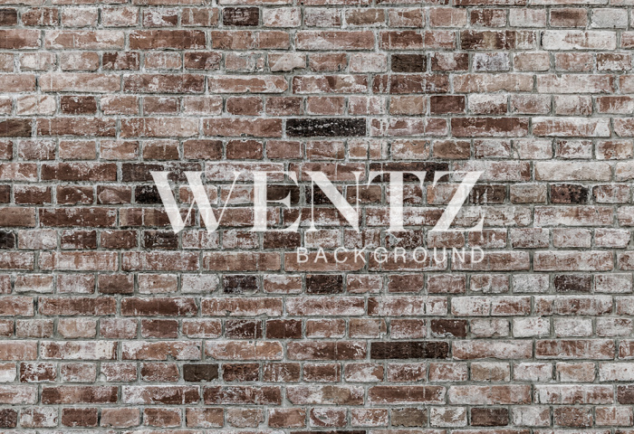 Fabric Photography Background Bricks / Backdrop 2125