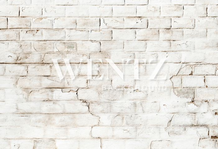 Fabric Photography Background Bricks / Backdrop 2136