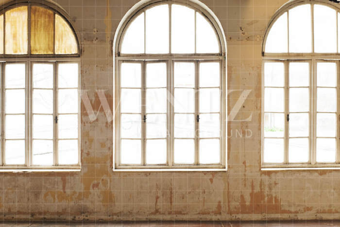 Fabric Photography Background Wall with Windows / Backdrop 2394