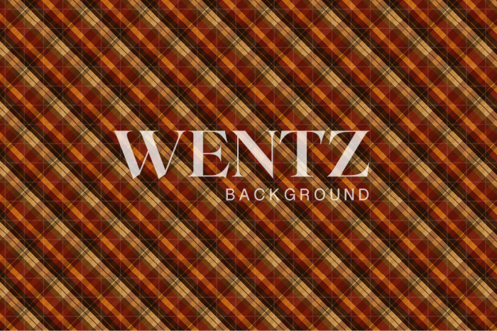 Fabric Photography Background Plaid / Backdrop 2459