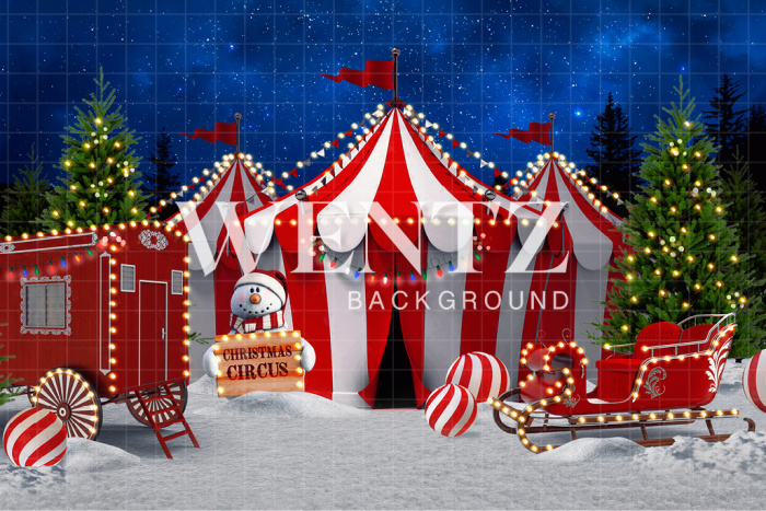 Fabric Photography Background Christmas Circus / 2465