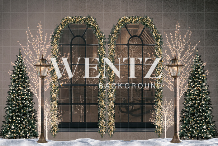 Fabric Photography Background Christmas Window / Backdrop 2494