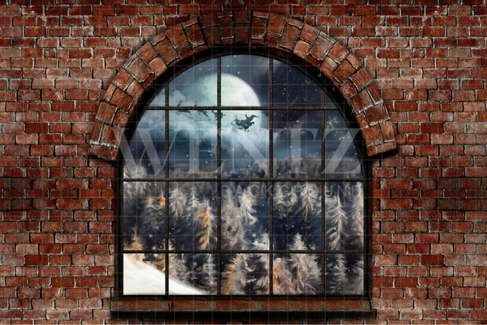 Fabric Photography Background Christmas Window / Backdrop 2498