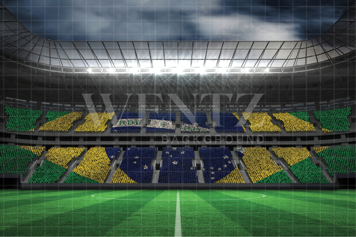 Fabric Photography Background Soccer World Cup / Backdrop 2510