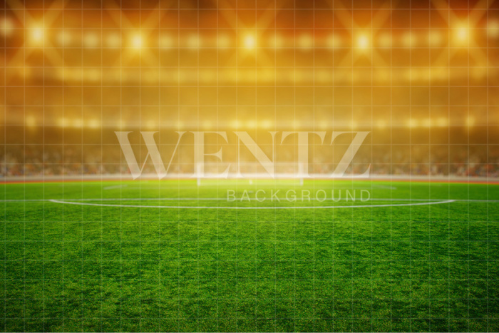 Fabric Photography Background World Cup Soccer Stadium / Backdrop 2533