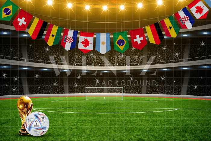 Fabric Photography Background Stadium with Flags World Cup Soccer / Backdrop 2535