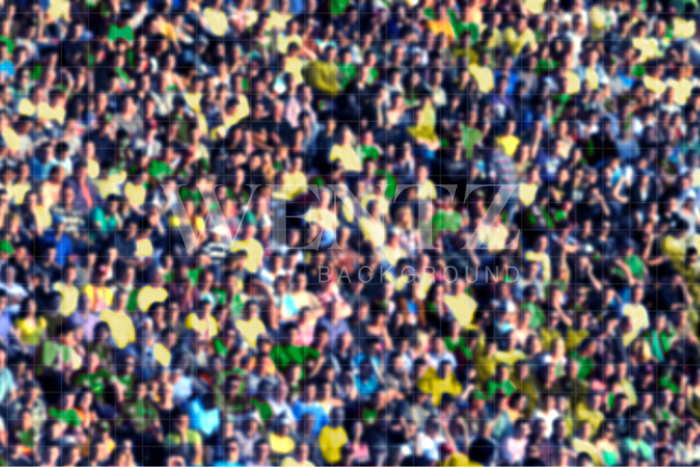 Fabric Photography Background World Cup Soccer Crowd / Backdrop 2536