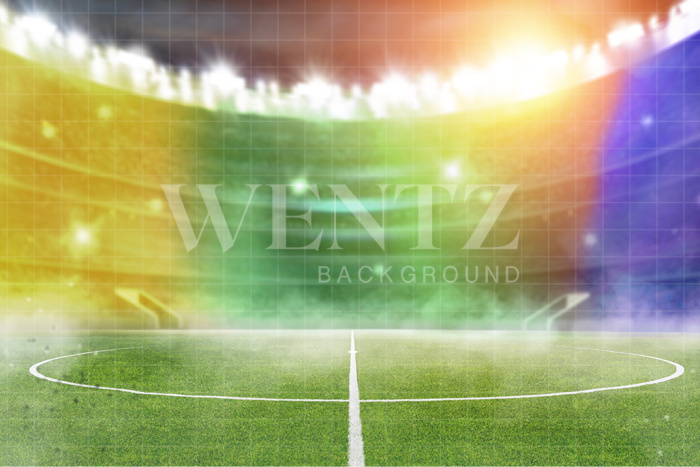 Fabric Photography Background World Cup Soccer Stadium / Backdrop 2540