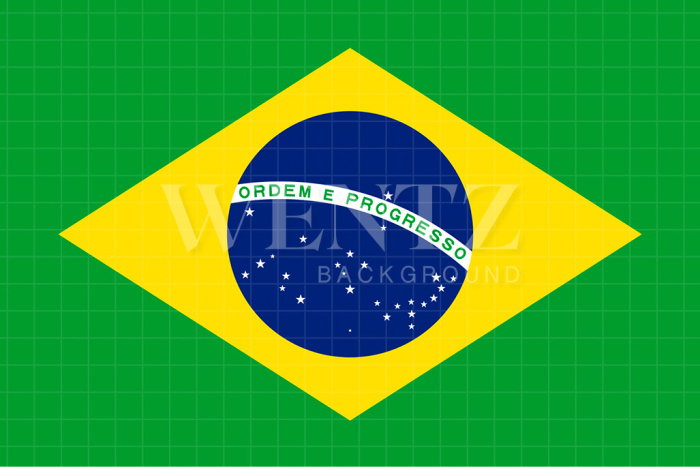 Fabric Photography Background Soccer World Cup Brazil Flag / Backdrop 2542