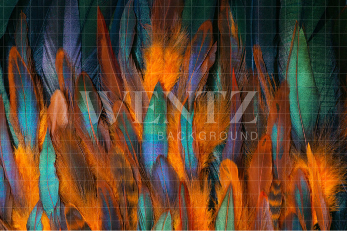 Fabric Photography Background Colorful Carnival Feathers / Backdrop 2572