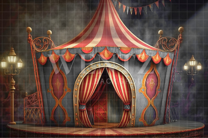 Fabric Photography Background Circus Tent with Lights / Backdrop 3048