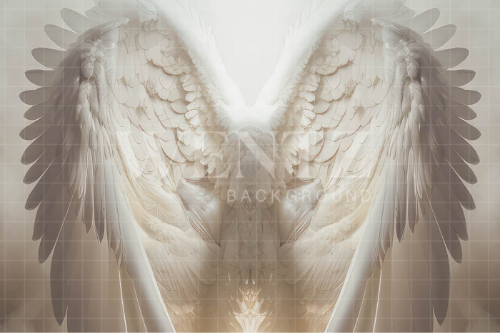 Fabric Photography Background Wings / Backdrop 3495