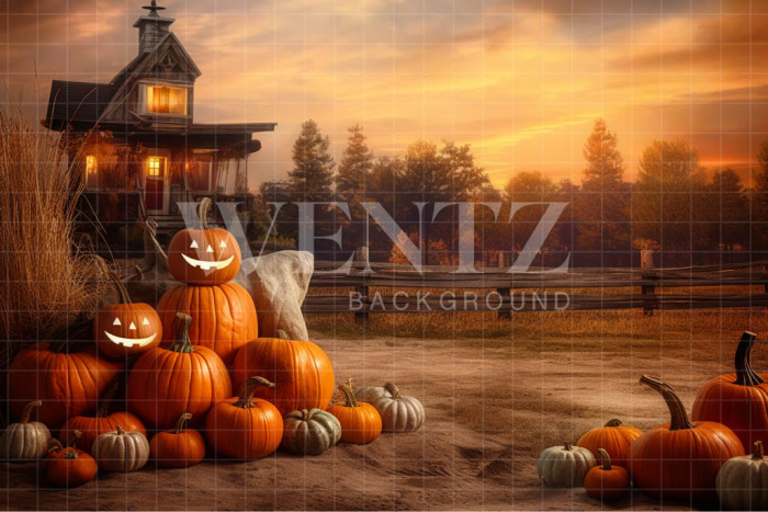 Fabric Photography Background Pumpkin Harvest / Backdrop 3715