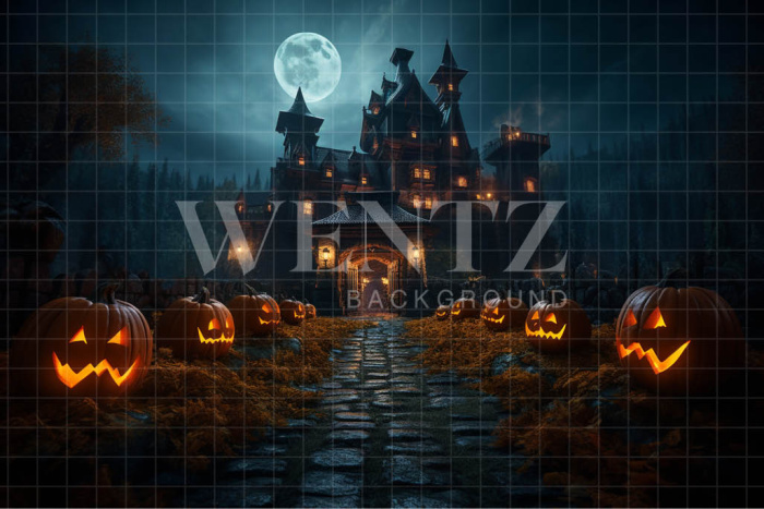 Fabric Photography Background Vampire's Castle / Backdrop 3717