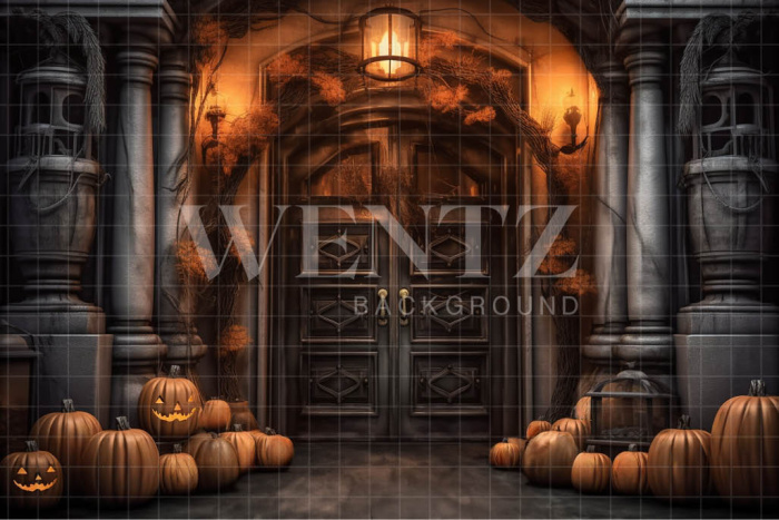 Fabric Photography Background Rustic Door with Pumpkins / Backdrop 3721