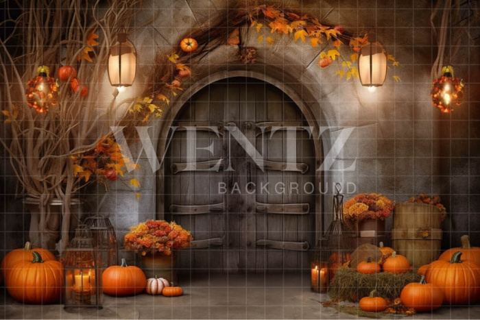 Fabric Photography Background Halloween Rustic Door / Backdrop 3723