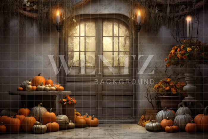 Fabric Photography Background Halloween Rustic Door / Backdrop 3724