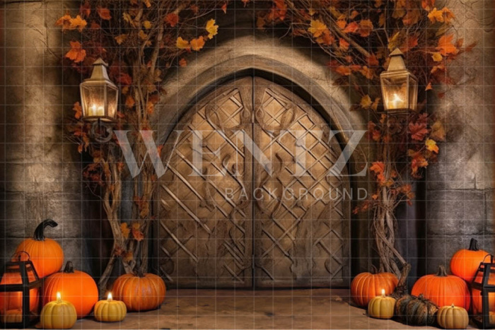 Fabric Photography Background Halloween Rustic Door / Backdrop 3726