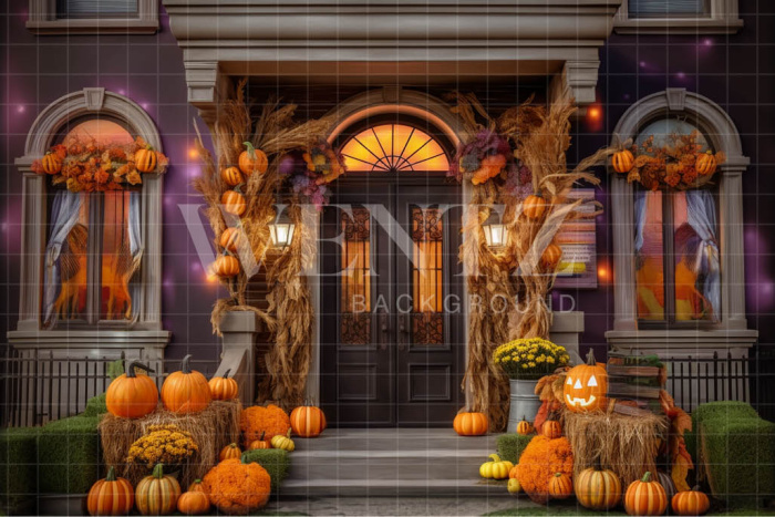 Fabric Photography Background Halloween Facade / Backdrop 3728