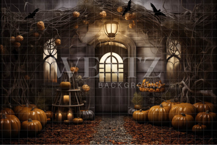 Fabric Photography Background Halloween Facade / Backdrop 3738