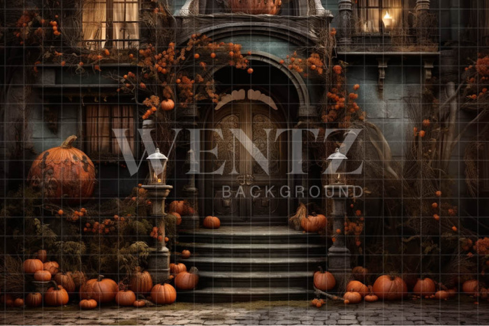 Fabric Photography Background Halloween Set / Backdrop 3741