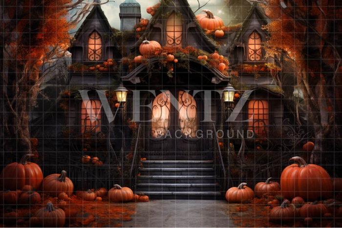 Fabric Photography Background Witch's House / Backdrop 3755