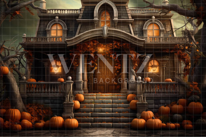 Fabric Photography Background Haunted House / Backdrop 3756