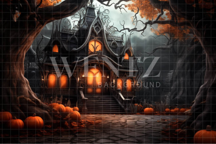 Fabric Photography Background Haunted House / Backdrop 3757