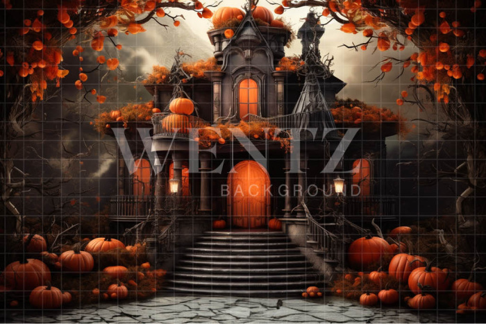 Fabric Photography Background Haunted House / Backdrop 3759