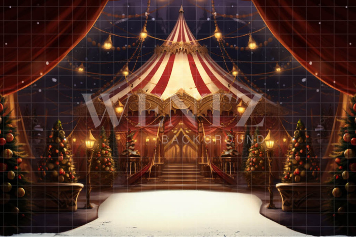 Fabric Photography Background Christmas Circus / Backdrop 4073