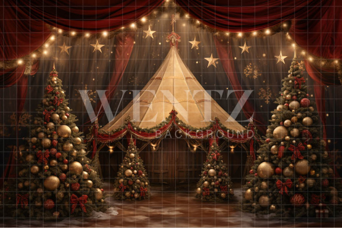 Fabric Photography Background Christmas Circus / Backdrop 4076