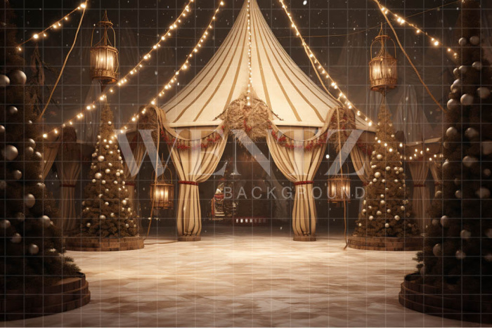 Fabric Photography Background Christmas Circus / Backdrop 4109