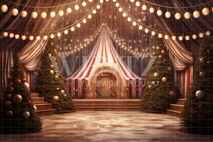 Fabric Photography Background Circus Tent / Backdrop 4123