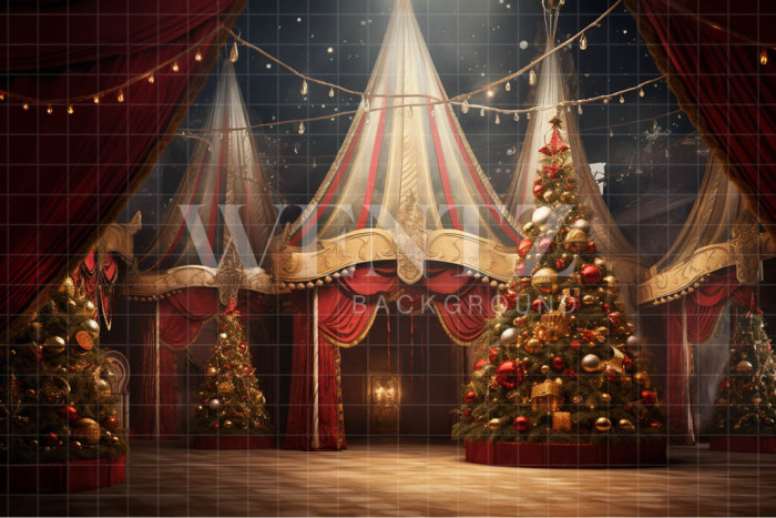 Fabric Photography Background Circus Tent / Backdrop 4125