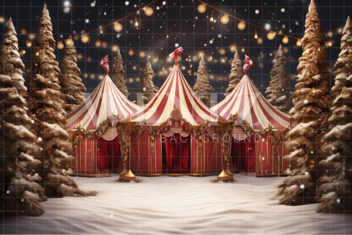 Fabric Photography Background Circus Tent / Backdrop 4144