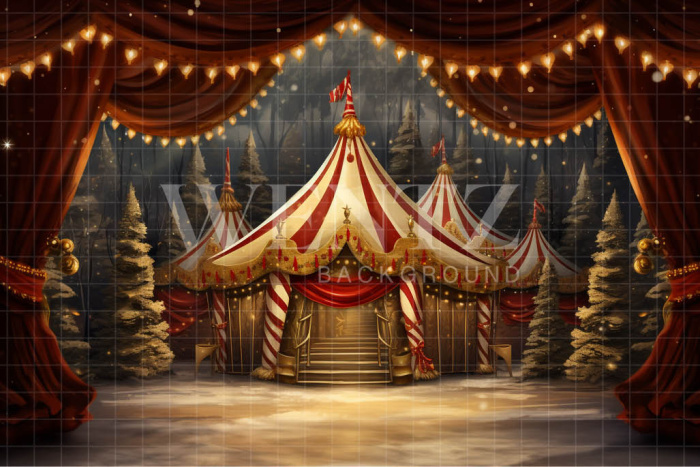 Fabric Photography Background Circus Tent / Backdrop 4159