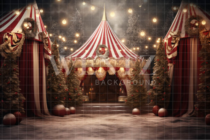 Fabric Photography Background Christmas Circus / Backdrop 4165