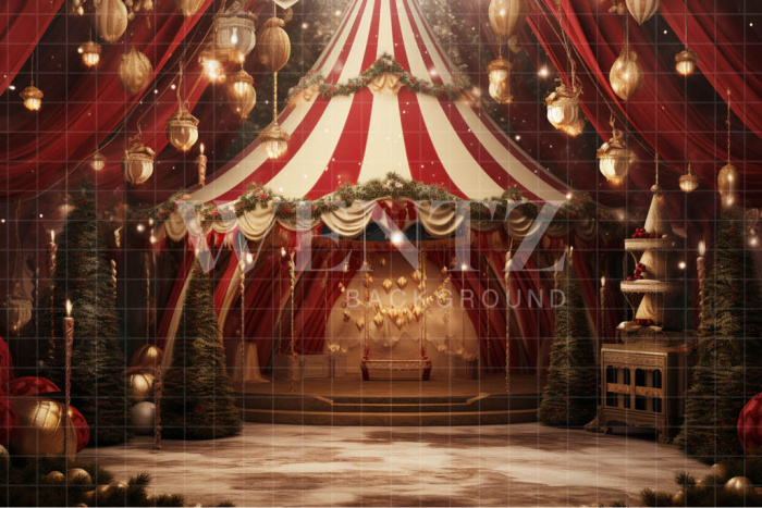 Fabric Photography Background Christmas Circus / Backdrop 4167