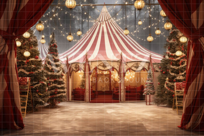 Fabric Photography Background Christmas Circus / Backdrop 4176