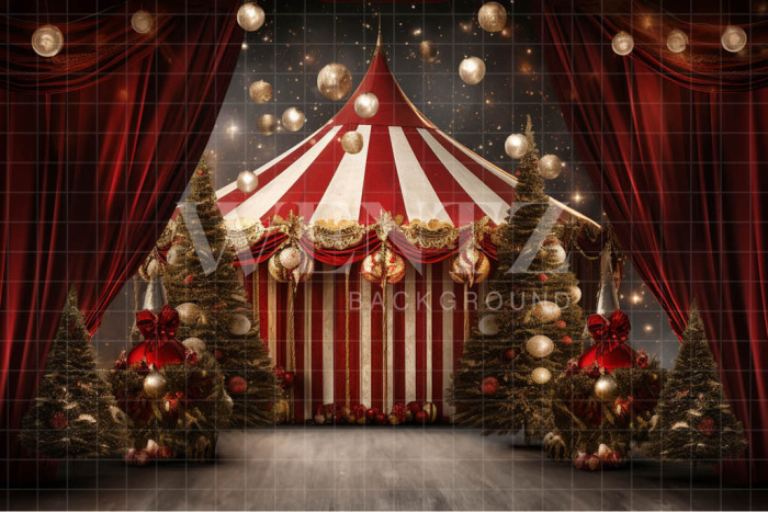 Fabric Photography Background Christmas Circus / Backdrop 4179