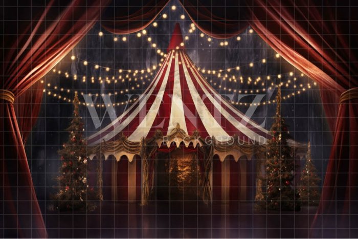 Fabric Photography Background Christmas Circus / Backdrop 4258