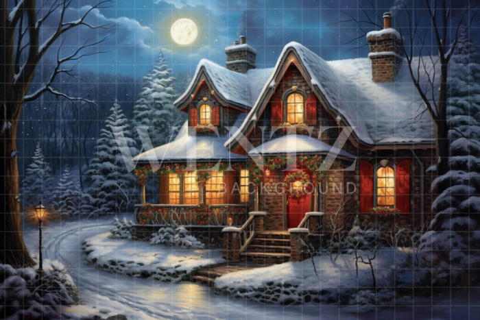 Fabric Photography Background Christmas House / Backdrop 4329