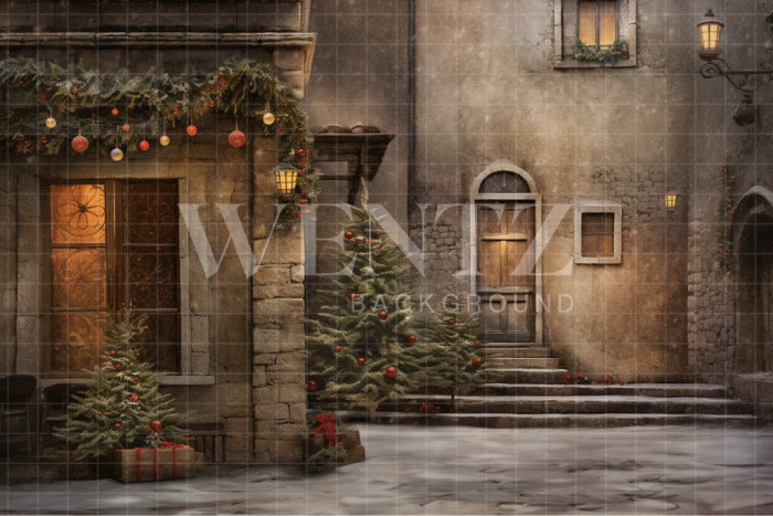 Fabric Photography Background Christmas Village / Backdrop 4370