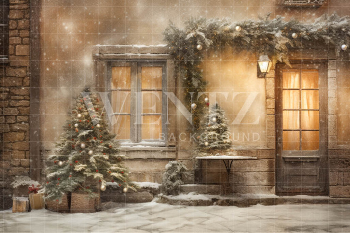 Fabric Photography Background Vintage Christmas Set / Backdrop 4371