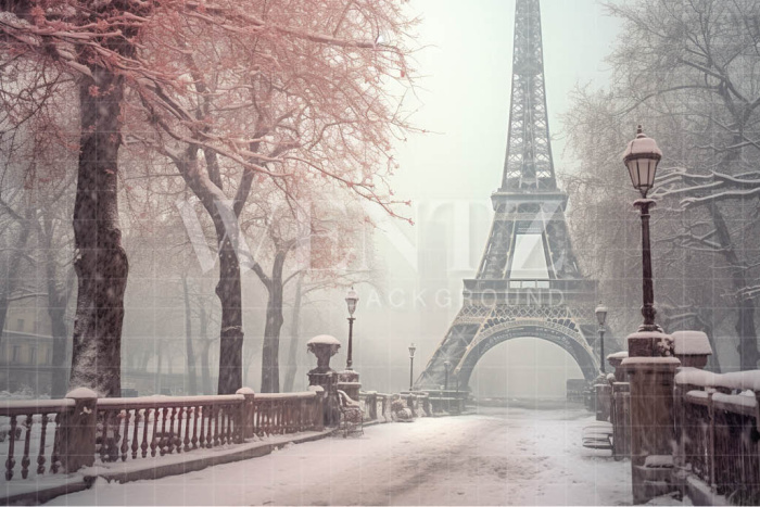 Fabric Photography Background Winter in Paris / Backdrop 4383